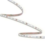 ORO33552 ORO STRIP SMD 24V⁄500LM⁄NW 50M pac un 1.jpg