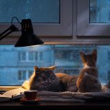 żarówka LED_led-pol.com_AMM-E27-G45-4,9W_6.jpg