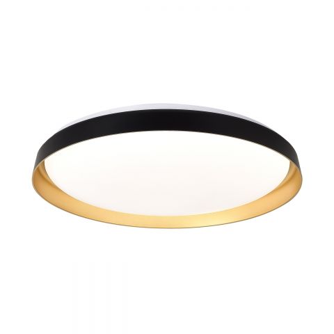 ORO ARDEOLA LED 36W CCT RC BG.jpg