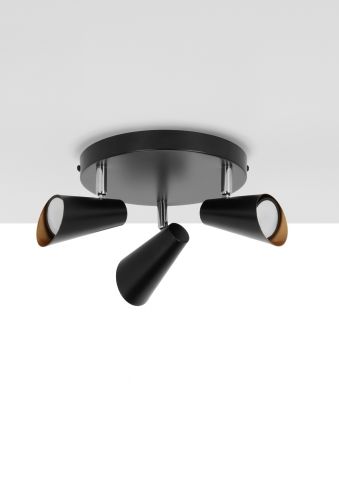 ORO AQUILA_wiz_01-02.jpg